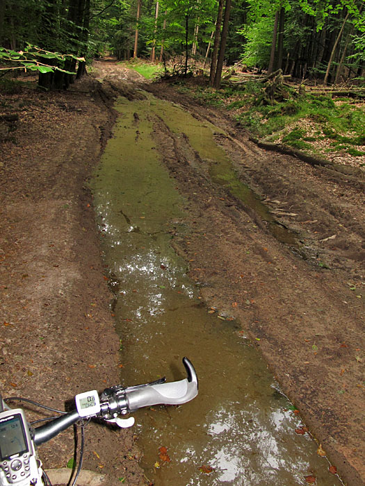 Da sind bestimmt auch Krokodile drin ;-)