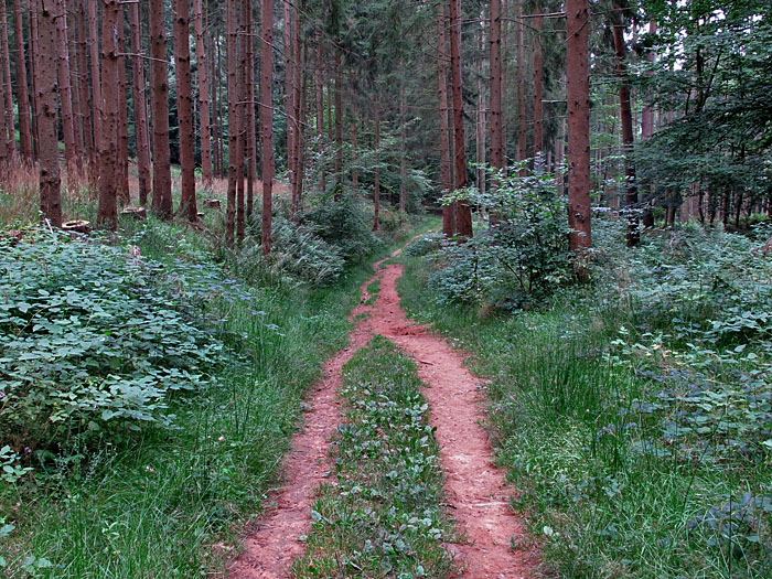 Abfahrt von Fleckenstein