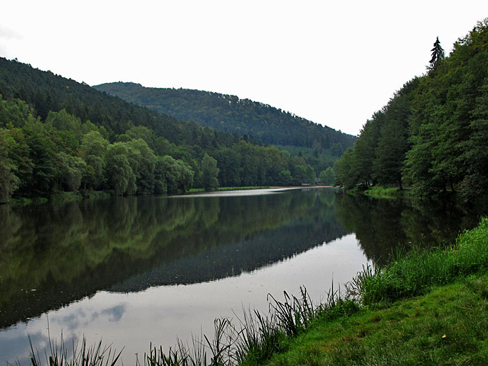 Etang bei Hirschthal
