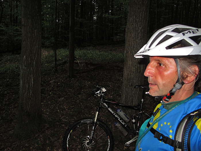 Vor dem Gewitter in den Wald gefl&uuml;chtet. Der Weg hinaus f&uuml;hrte durch Brennessel und Stachelgeb&uuml;sch, dementsprechend sahen meine Beine aus :-(