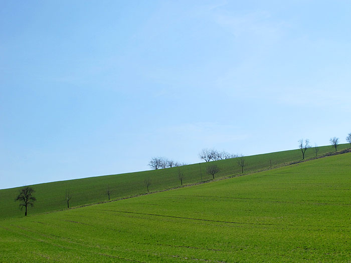... und sch�ne gr�ne Landschaften
