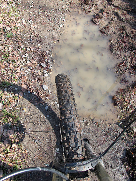 ... schon bald Schlammpfade