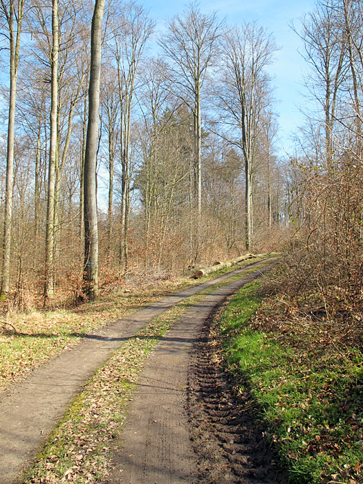 Endlich wieder halbwegs trockene Pfade