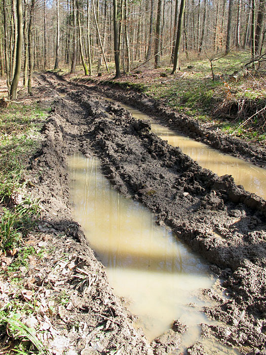 ... hier schiebe ich lieber au�en herum