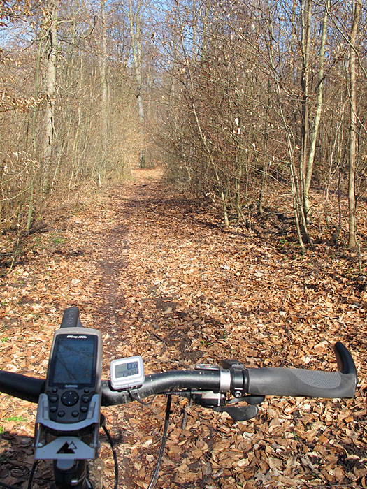 Waldwege wechseln sich ab ...