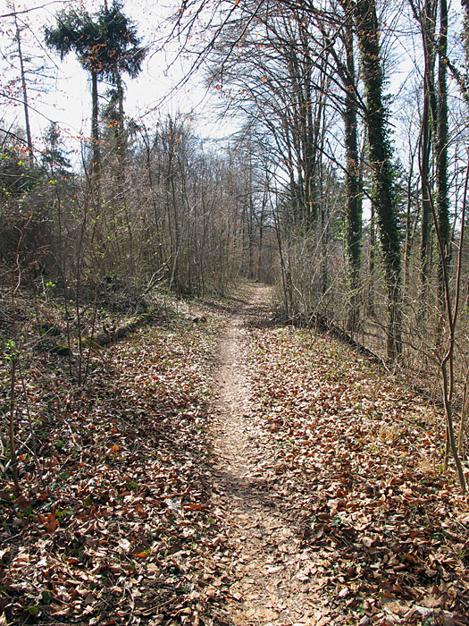 ... um bald darauf wieder auf schmalen Pfaden weiter zu f�hren