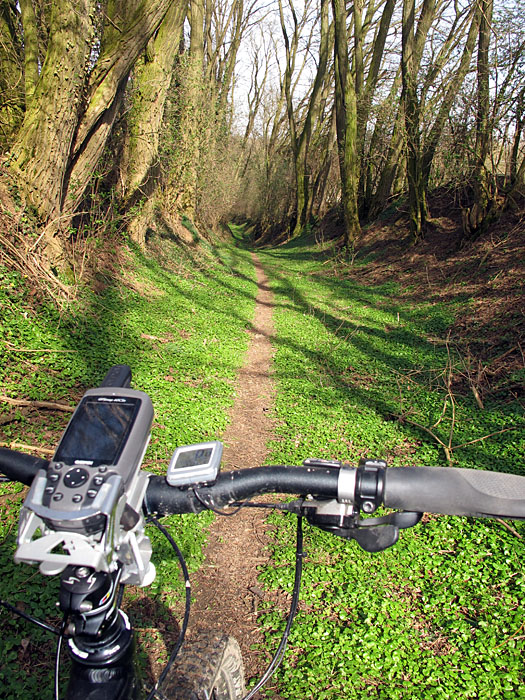 Die Fahrt auf dem Singletrail ...