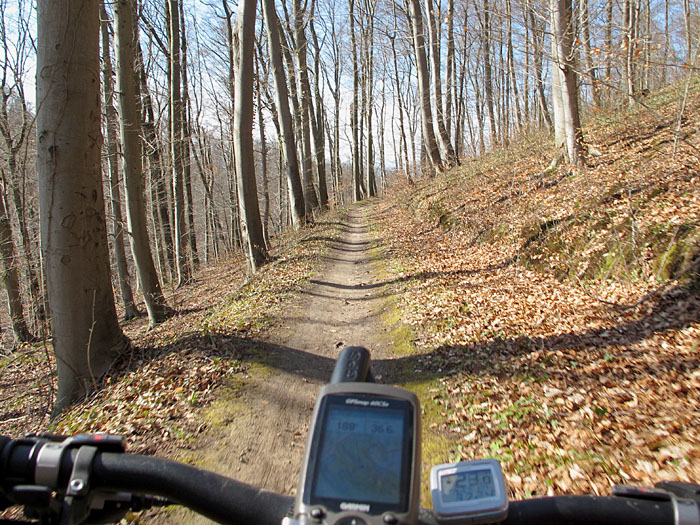 ... doch der Trail lenkt die Aufmerksamkeit aufs Vorderrad