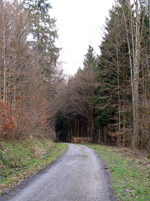 Auf dem Graf-Rhena-Weg
