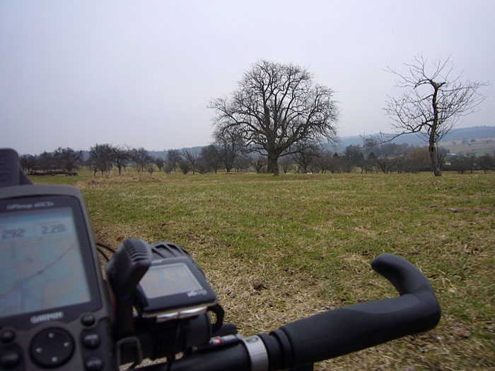 Tr&uuml;be Aussichten