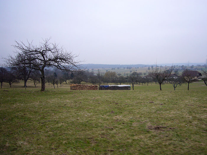 Am Horizont erhebt sich der Schwarzwald