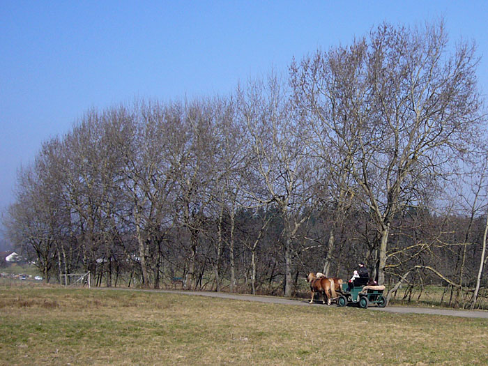 Es gibt auch andere M&ouml;glichkeiten vorw&auml;rts zu kommen