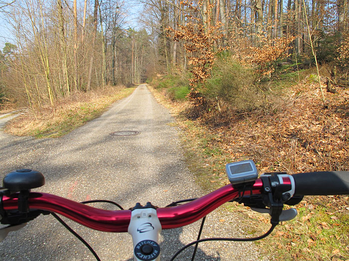 Auf der Waldautobahn