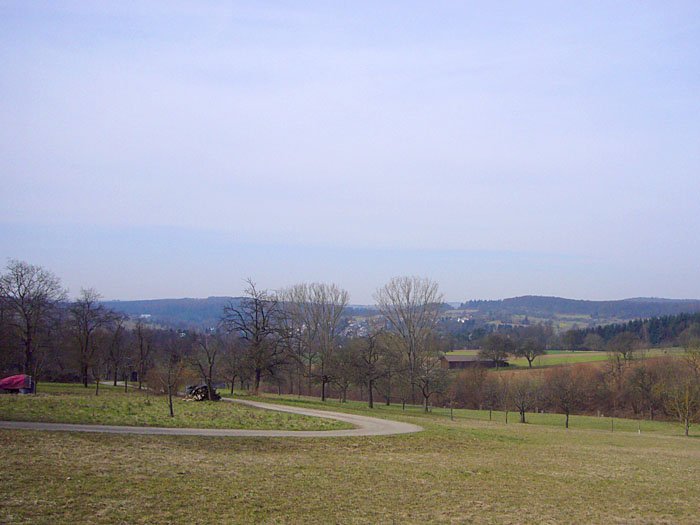 Jetzt fehlen nur noch die Bl&auml;tter an den B&auml;umen