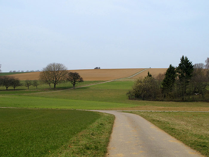 Auf zum Heuberg