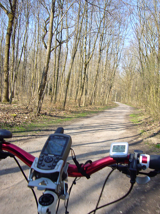 Weg durch den Oberwald