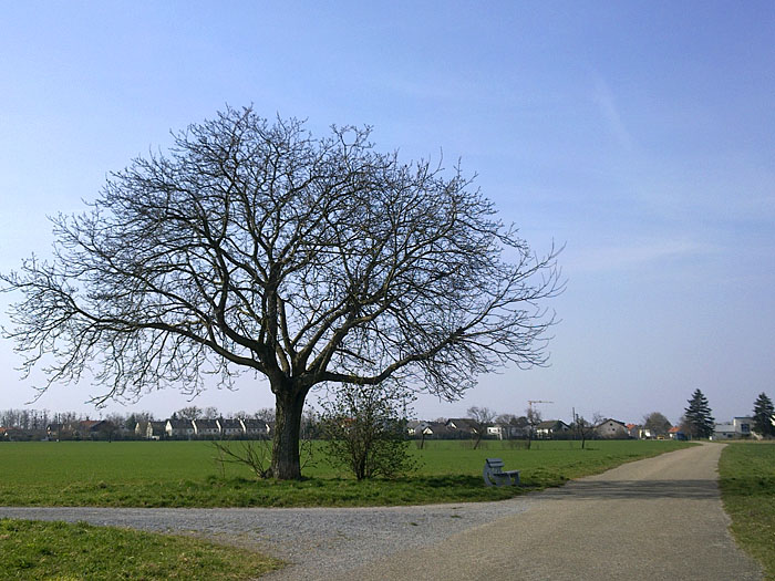 Fahrtrichtung Linkenheim