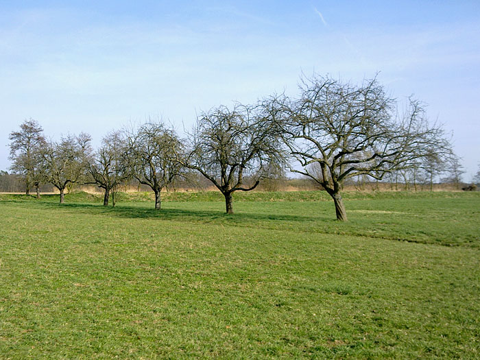 Irgendwo zwischen Neudorf und Karlsdorf