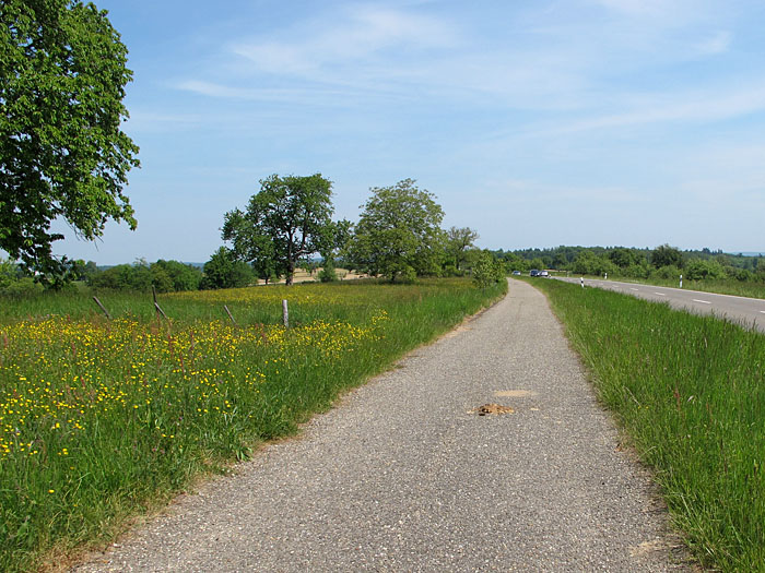 Ein sch&ouml;ner Tag zum Radeln