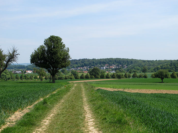 Feldweg nach Stupferich