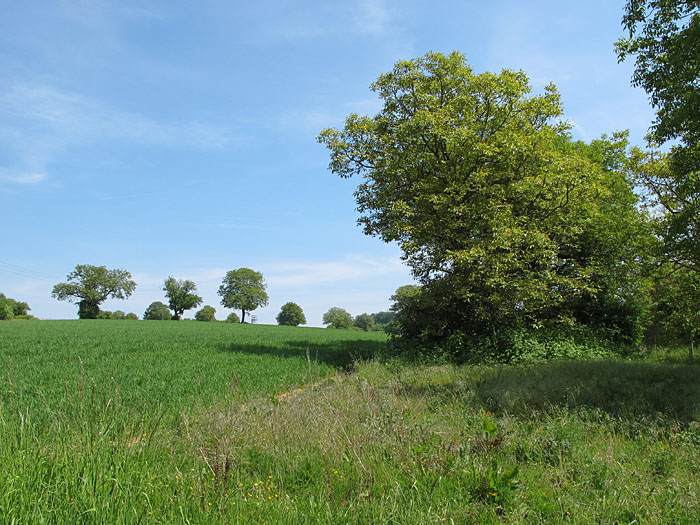 Pl&ouml;tzlich war der Weg zu Ende
