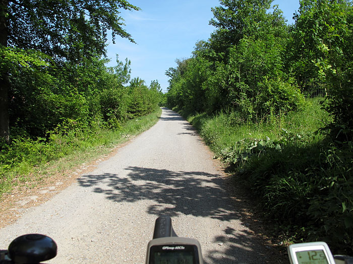 Auf dem Graf-Rhena-Weg, kurz vor dem Ziel