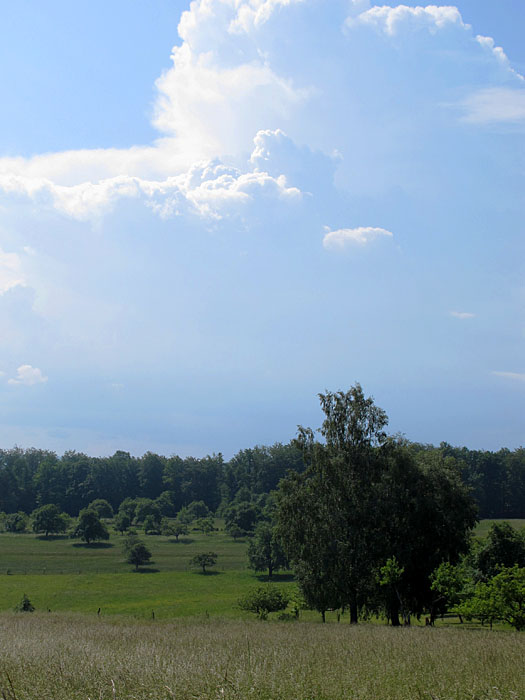 Gewitter im Anflug, Zeit die Kurve zu kratzen