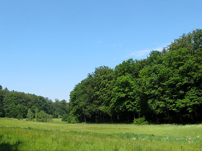 Hier sieht das Wetter wieder besser aus