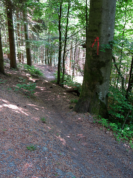 Trail zum Toten Mann