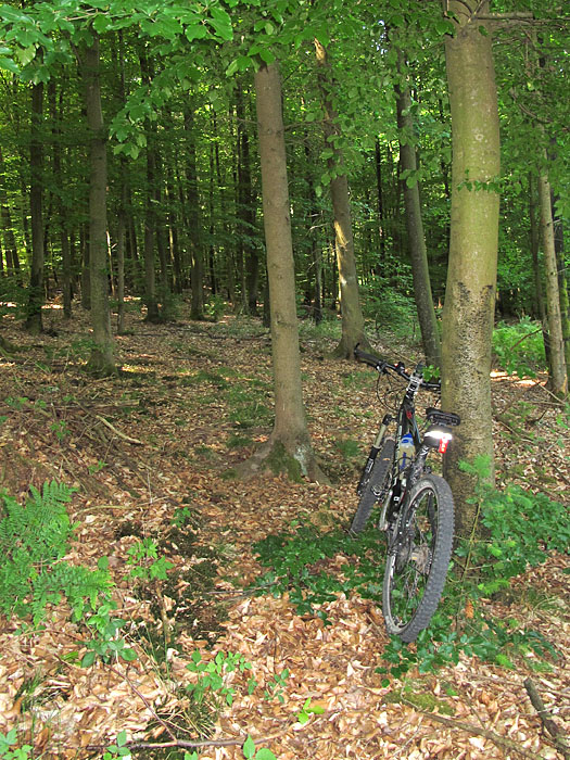 Wieder mal war pl&ouml;tzlich der Weg zu Ende