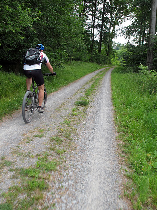 Weiter den Berg hinauf