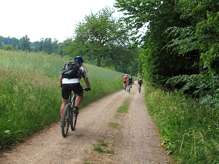 Wir sind nicht alleine auf den Wegen