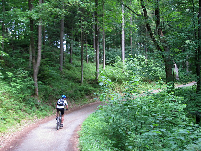 Im Wald ist es k&uuml;hler, als auf den Feldwegen