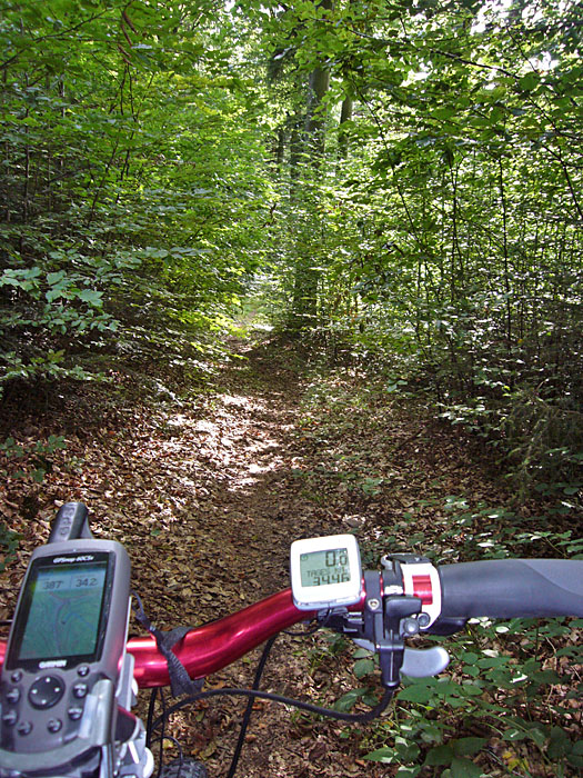 Der Trail kostet wieder etwas Haut an den Unterschenkeln ;-)