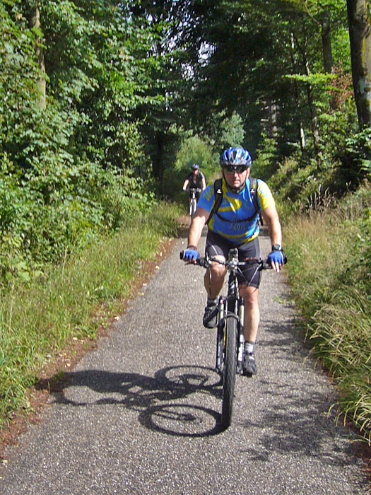 Noch kommt die Sonne durch