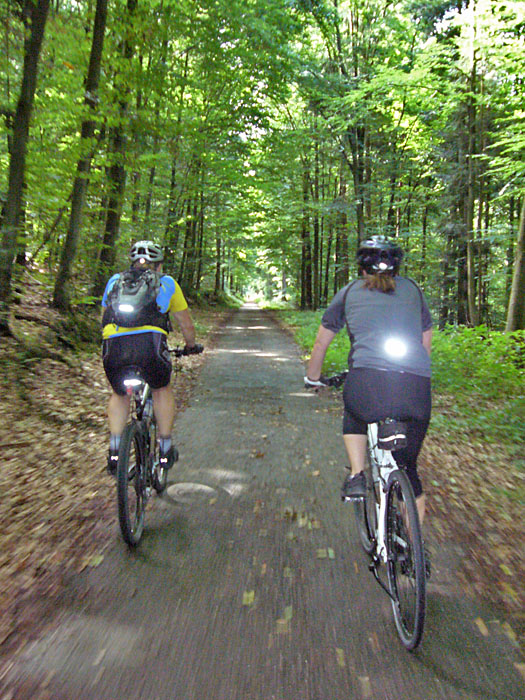 Im dunklen Wald muss man blitzen