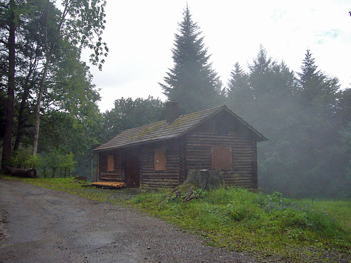 Nach dem Schauer dampft der Wald