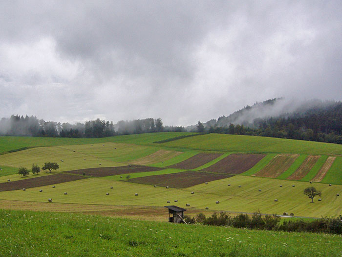 Dampfende Landschaft