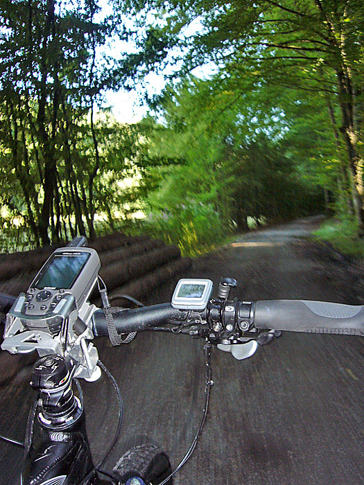 Auf dem Graf-Rhena-Weg