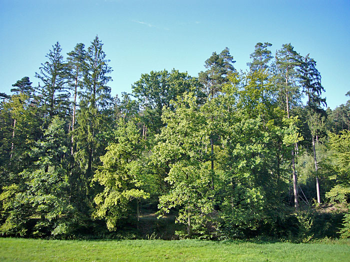 Sch&ouml;ner blauer Himmel