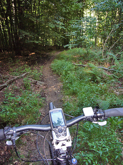 Kurzer Singletrail