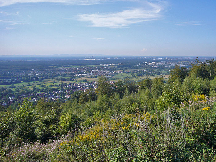 Blick in die Rheinebene