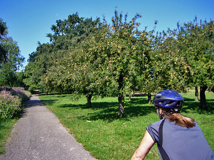 Zwischen Muggensturm und &Ouml;tigheim