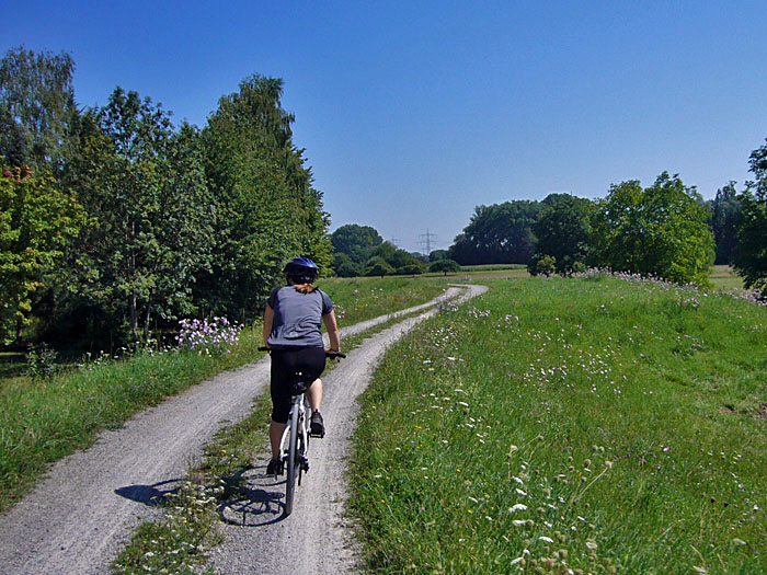 Europaradweg auf dem Deich
