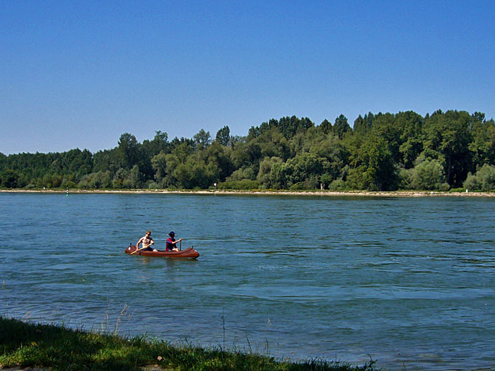 Kanuten auf dem Rhein