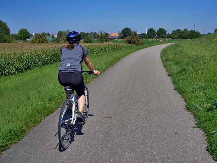 Radweg bei Neuburg