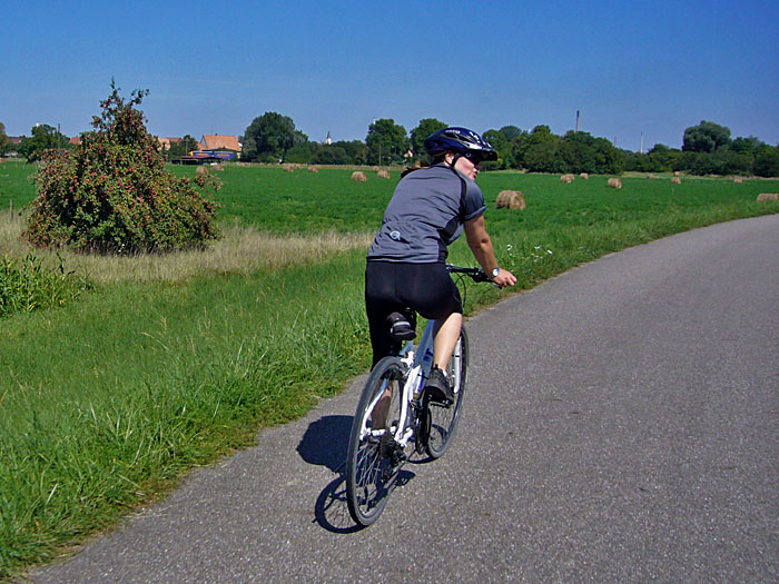 Apfelbaum und gem&auml;hte Wiesen und nat&uuml;rlich Bettina