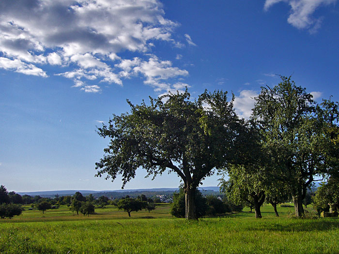 Auf dem Weg nach Durlach