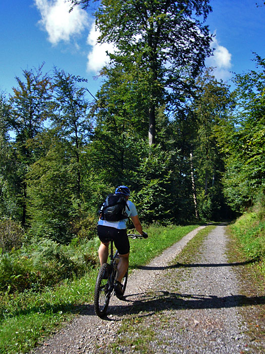 Auf in die Schwarzw&auml;lder H&ouml;hen
