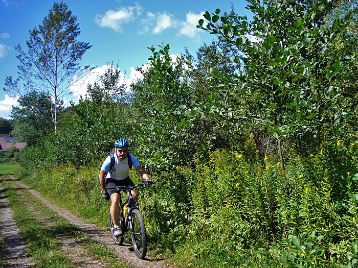 Es geht immer weiter hinauf